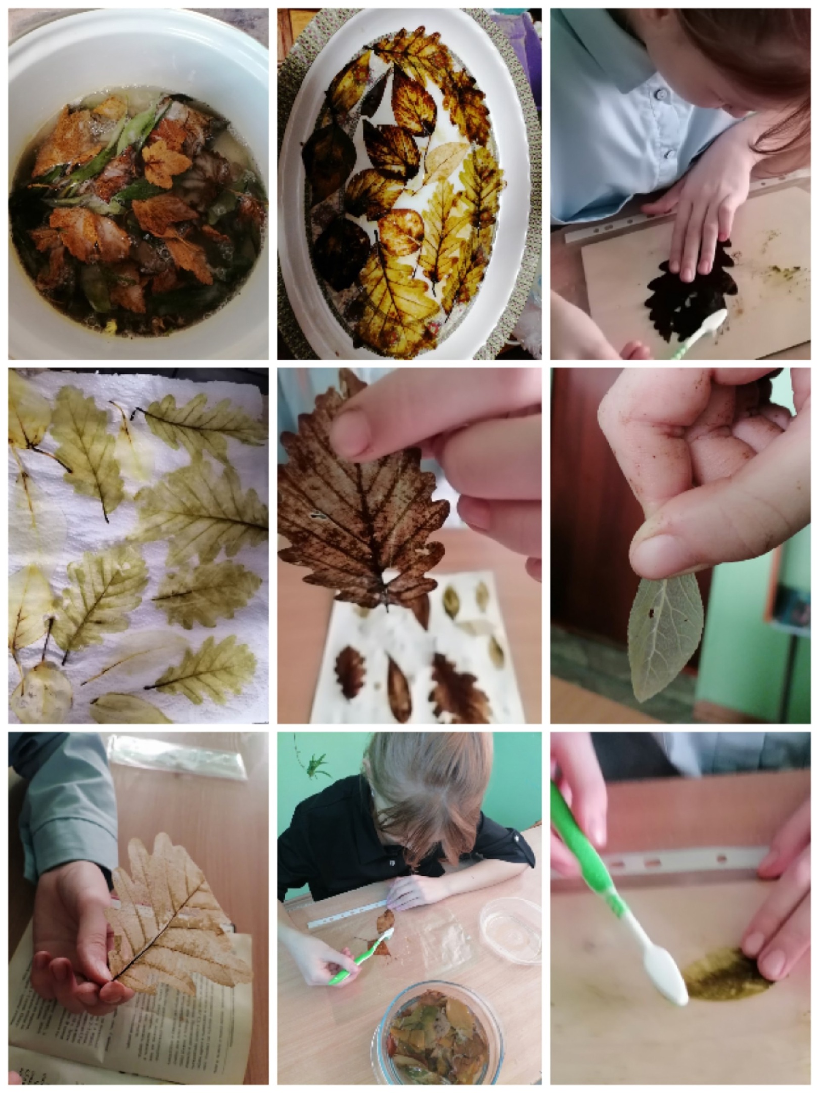 Готовимся к НПК &amp;quot;Первые шаги в науку&amp;quot;.
