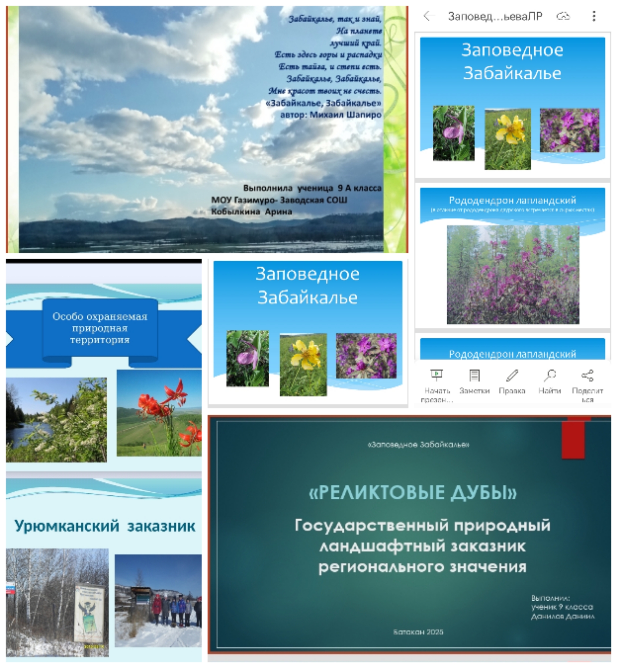 «Заповедное Забайкалье».