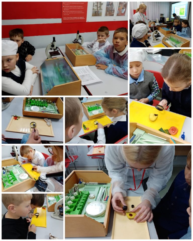 Профориентационная декада.